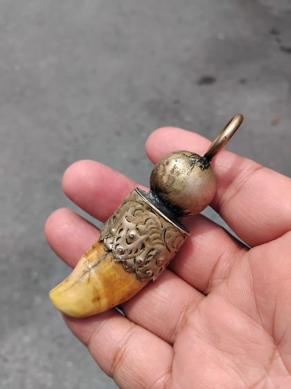 เครื่องราง เลี่ยมจับขอบแบบโบราณ บรรจุกริ่ง ขนาดประมาณ 3 นิ้ว ผิวสีน้ำผึ้ง ฉ่ำ มัน แห้งเหี่ยว มีน้ำหนักมาก เขี้ยวอ้วนใหญ่ เก่ามาก แท้ แปลก หา