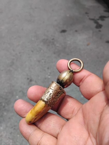 เครื่องราง เลี่ยมจับขอบแบบโบราณ บรรจุกริ่ง ขนาดประมาณ 3 นิ้ว ผิวสีน้ำผึ้ง ฉ่ำ มัน แห้งเหี่ยว มีน้ำหนักมาก เขี้ยวอ้วนใหญ่ เก่ามาก แท้ แปลก หา รูปที่ 4