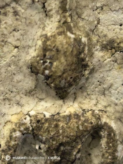 พระสมเด็จพิมพ์เจดีย์ รูปที่ 4