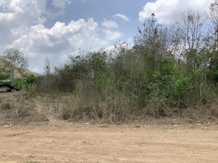 ขายที่ดินโฉนดราคาถูก ต.กลัดหลวง ติดถนนสาธารณะ2ด้าน  เนื้อที่ 2 งาน 36ตารางวา ราคา 350,000บาท