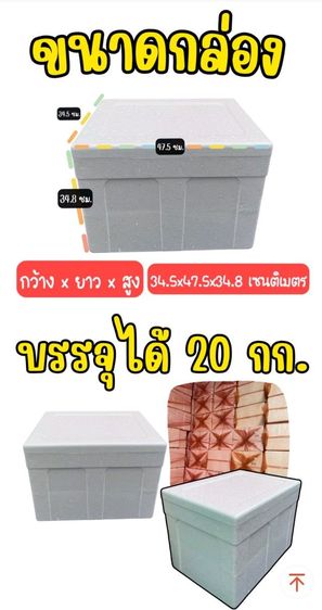 ขายด่วน กล่องโฟมใส่ของสด ใส่น้ำแข็ง-แช่แข็ง ขนาด 20 kg. เก็บความเย็นได้นาน แข็งแรงทนทาน ขายในราคาถูกๆ ขอขายแค่ใบละ 49.-
