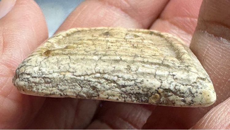 🙏พระสมเด็จพิมพ์ทรงเจดีย์🙏พระสมเด็จพิมพ์ใหญ่เกศทะลุซุ้ม🙏พระสมเด็จพิมพ์ใหญ่มีมวลสาร องค์ละ1000 รูปที่ 12