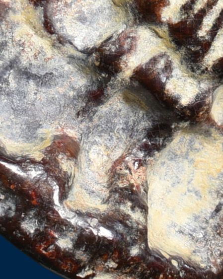 สวยมาก❗ให้เช่าพระบ้าน พระร่วงยึนหลังรางปืน กรุวัดพระศรีมหาธาตุ ลพบุรี เนื้อสนิมแดง มีไขขาว แตกเส้นใยแมงมุม รูปที่ 18