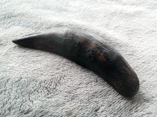 เขี้ยวเสือเรซิ่น รูปที่ 6