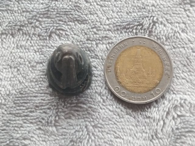 พระปิดตา (เขาแกะ) รูปที่ 8