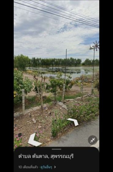 ขายที่ดิน 11ไร่ บางตะเคียน อ.สองพี่น้อง