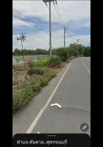 ขายที่ดิน 11ไร่ บางตะเคียน อ.สองพี่น้อง รูปที่ 2