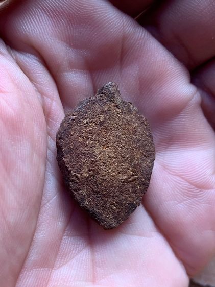 ท่านพ่อลี รูปที่ 8