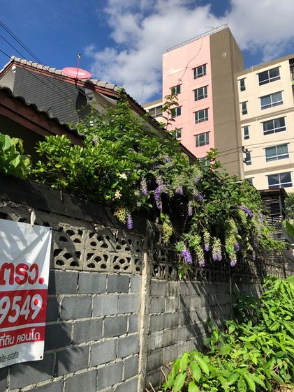 อื่นๆ ตกแต่งครบ สร้างเสร็จก่อน 2010 ขายบ้านเดี่ยว  2 ชั้น 60 ตารางวา  รูปที่ 4