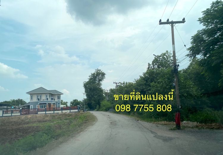ขายไร่ละ 9 แสน ที่ดิน 2 ไร่ ภาชี อยุธยา 098 7755 808 รูปที่ 2