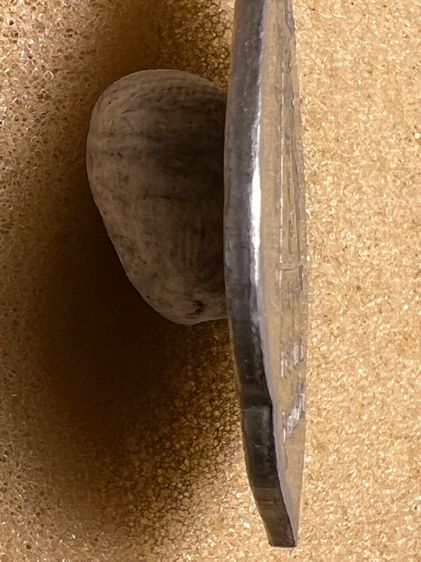 เหรียญหลวงพ่อวิบูลย์ วัดลำต้อยติ่ง ปี05 รุ่นแรก รูปที่ 5