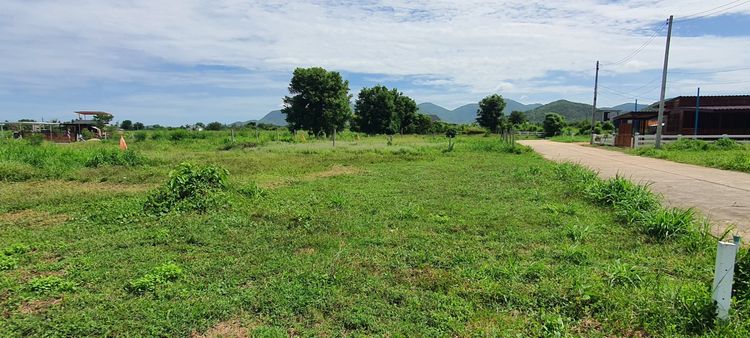 ขายถูกกว่าโครงการ✨️ ขายที่ดินโฉนดชะอำ เนื้อที่ 101 ตร.วา 