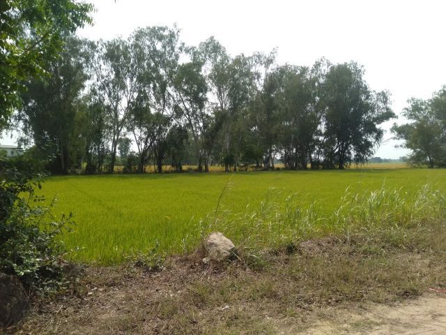 ขายที่ดิน 1 ไร่ 70.2 ตารางวา รูปที่ 2