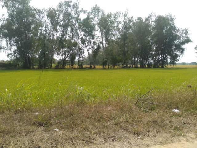 ขายที่ดิน 1 ไร่ 70.2 ตารางวา