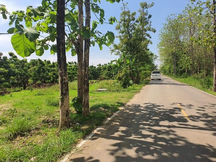 ให้เช่าที่ดินเปล่าเชียงใหม่ เนื้อที่ 62 ตร.วา (พื้นที่ใช้สอย 100 ตรว.) รูปที่ 2