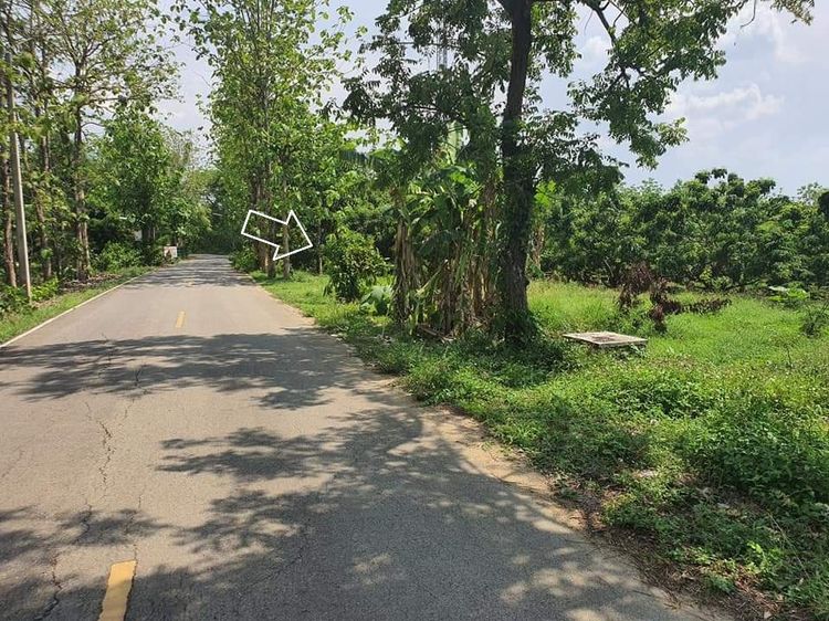 ให้เช่าที่ดินเปล่าเชียงใหม่ เนื้อที่ 62 ตร.วา (พื้นที่ใช้สอย 100 ตรว.)