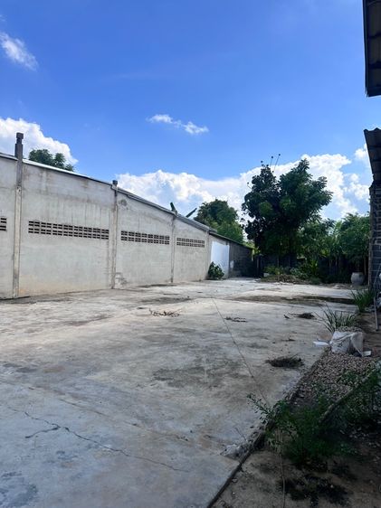 ✨ขายด่วน✨ 🏡พื้นที่ถมเเล้ว พื้นที่ อำเภอวังน้ำเย็น จังหวัดสระแก้ว รูปที่ 3