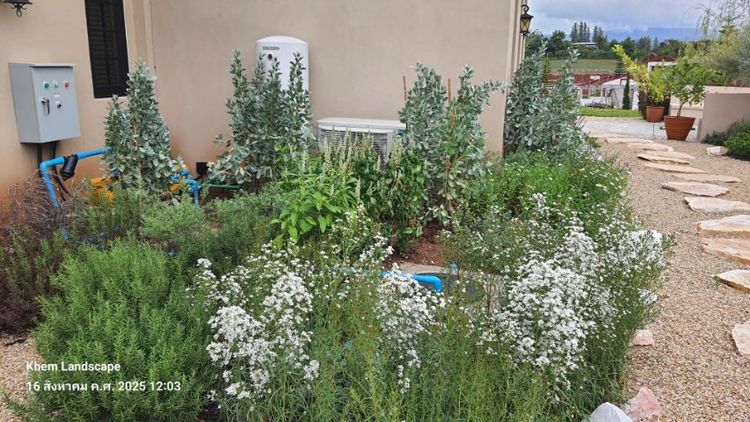 ระบบรดน้ำอัตโนมัติ  ระบบสปริงเกลอร์ Irrigation and Landscaping design ออกแบบสวน บ่อปลาคาร์ฟ รูปที่ 15