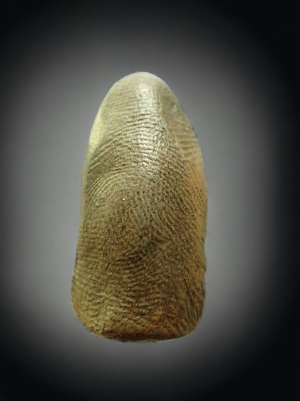 พระรอด วัดมหาวัน ลำพูน รูปที่ 2