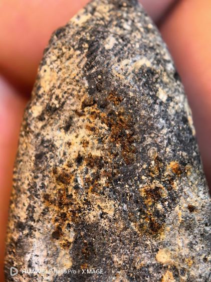 หลวงปู่ทวดเนื้อว่านพิมพ์ใหญ่ รูปที่ 3