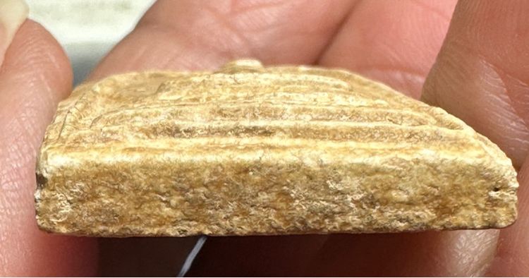 พระสมเด็จหลวงตาพันพิมพ์เส้นด้าย  รูปที่ 11