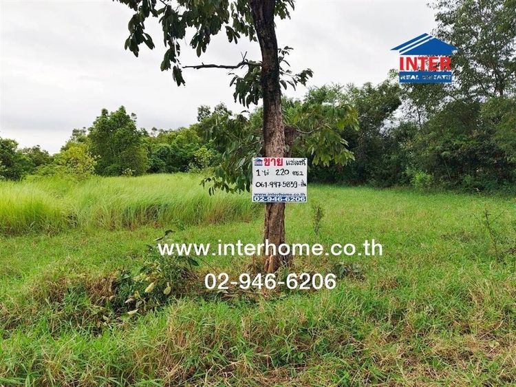 ไม่ใช่ ที่ดินเปล่า 1 ไร่ 220 ตร.ว. ที่ดิน ซอยลำลูกกา196 ถนนพหลโยธิน ถนนลำลูกกา เขตหนองจอก กรุงเทพมหานคร รูปที่ 4