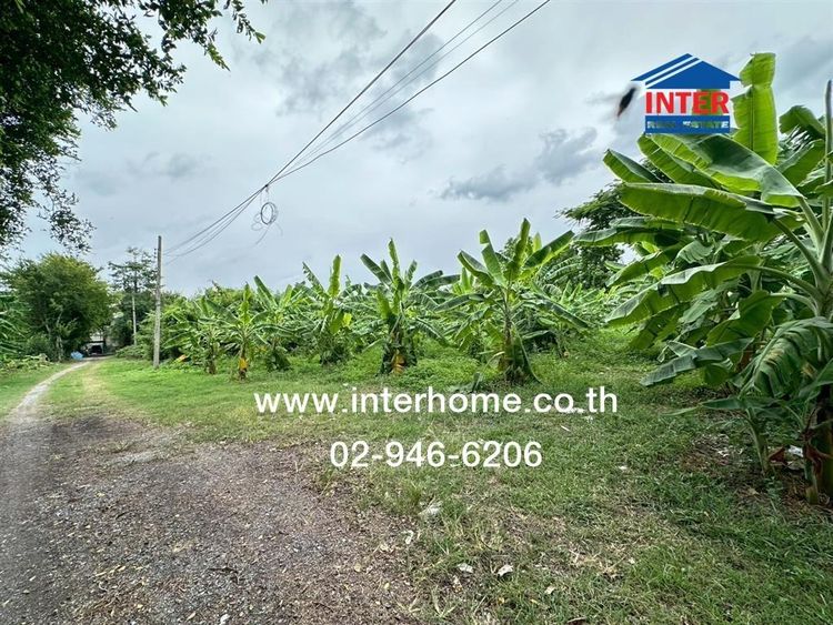 ไม่ใช่ ที่ดินเปล่า 400 ตร.ว. ที่ดิน ซอยเพชรเกษม48 ถนนกาญจนาภิเษก ถนนเพชรเกษม เขตภาษีเจริญ กรุงเทพมหานคร รูปที่ 2