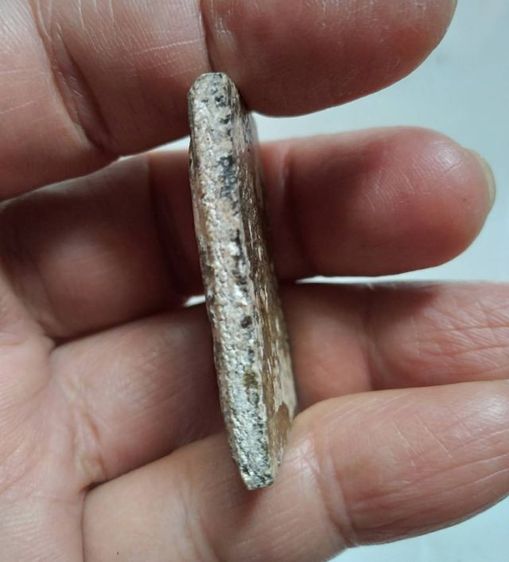 พระสมเด็จวัดระฆังพิมพ์ใหญ่ รูปที่ 3