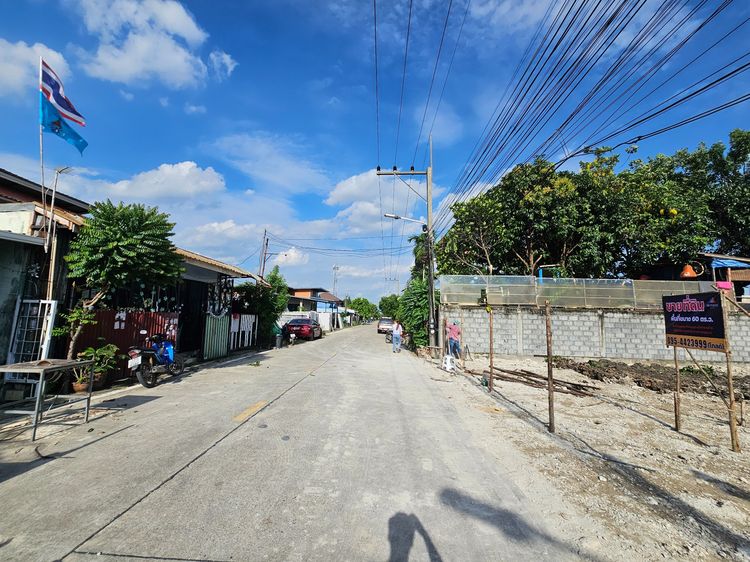 🌳 ขายที่ดินเปล่า (ถมแล้ว) 60 ตร.ว. ซอยแต้เจริญ1 ลำลูกกา คลอง4 รูปที่ 2