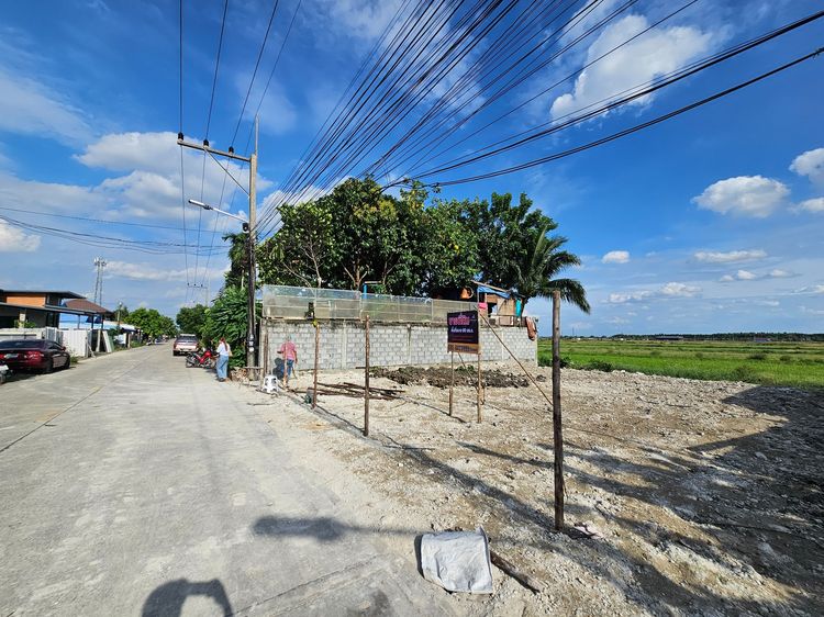 🌳 ขายที่ดินเปล่า (ถมแล้ว) 60 ตร.ว. ซอยแต้เจริญ1 ลำลูกกา คลอง4