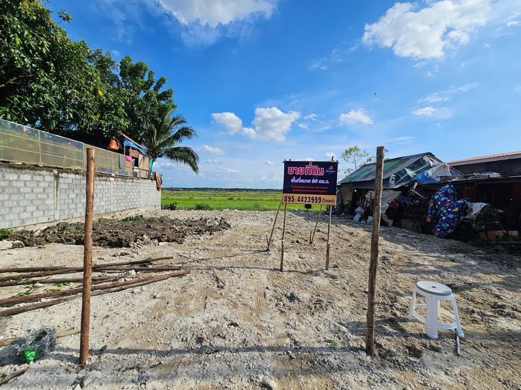 🌳 ขายที่ดินเปล่า (ถมแล้ว) 60 ตร.ว. ซอยแต้เจริญ1 ลำลูกกา คลอง4 รูปที่ 3