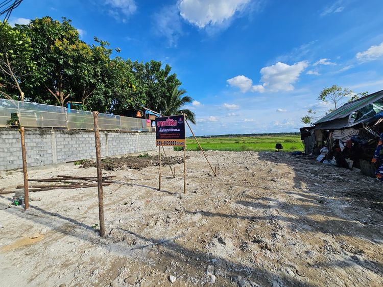 🌳 ขายที่ดินเปล่า (ถมแล้ว) 60 ตร.ว. ซอยแต้เจริญ1 ลำลูกกา คลอง4 รูปที่ 4