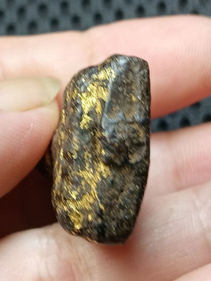 หลวงปู่ทวดเนื้อว่าน รูปที่ 4