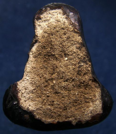 ปิดตาหลวงปู่ยิ้ม วัดหนองบัว พิมพ์สังกัจจายน์ (พุงป่อง) เนื้อผงจุ่มรัก จ.กาญจนบุรี รูปที่ 7