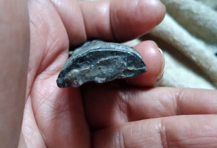 พระร่วงรางปืนกรุสุโขทัยเนื้อชิน รูปที่ 6