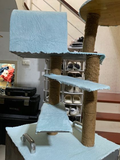 ห้องน้ำแมว พร้อมบ้านแมว รูปที่ 8