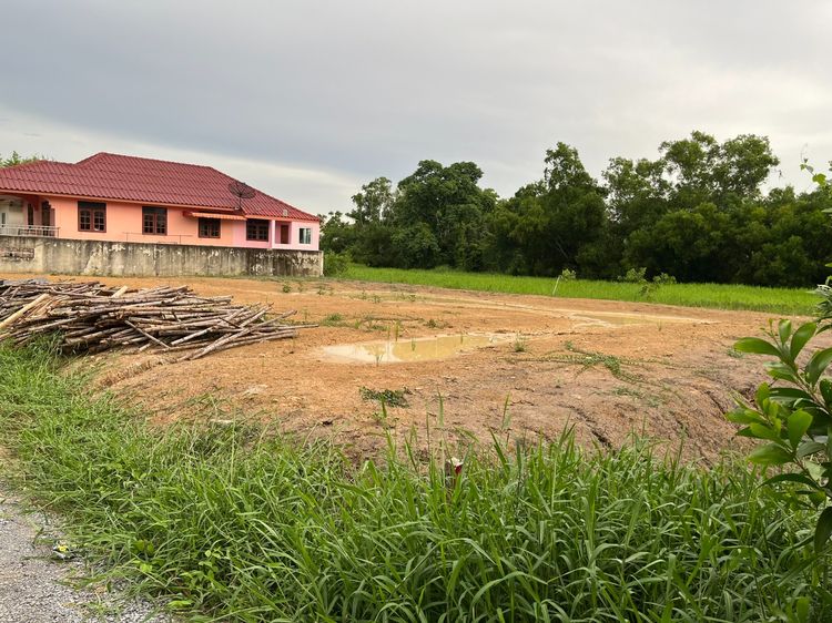 ขายที่ดินถมแล้ว 149 ตรว.  ซอยมิตรไมตรี 2 หนองจอก กรุงเทพ ห่างจากถนนใหญ่เพียง 200 เมตร  รูปที่ 3