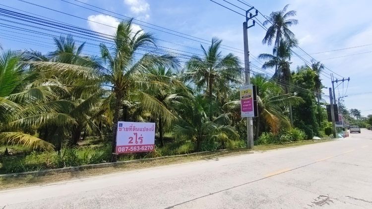 ขายที่ดินเปล่า 2 ไร่ 14 ตรว. ซอยสุขสวัสดิ์ 30 แยก 10  ติดถนนเมนสาธารณะ   ทะลุถนนพระราม2  พุทธบูชา39ได้ ใกล้ทางด่วน ใกล้มหาวิทยาลัยบางมด รูปที่ 3