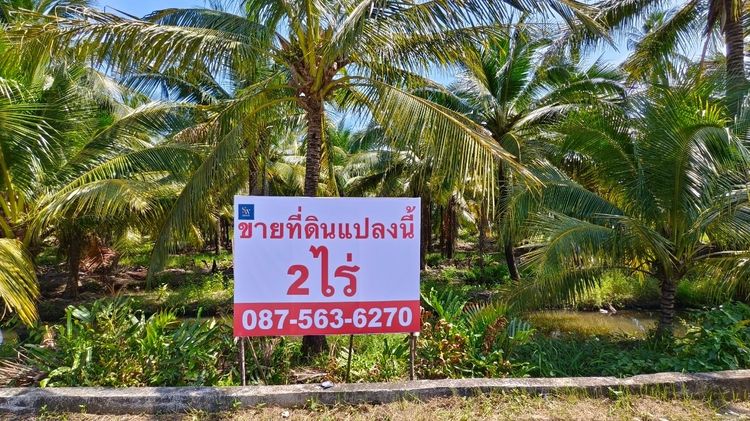 ขายที่ดินเปล่า 2 ไร่ 14 ตรว. ซอยสุขสวัสดิ์ 30 แยก 10  ติดถนนเมนสาธารณะ   ทะลุถนนพระราม2  พุทธบูชา39ได้ ใกล้ทางด่วน ใกล้มหาวิทยาลัยบางมด รูปที่ 4