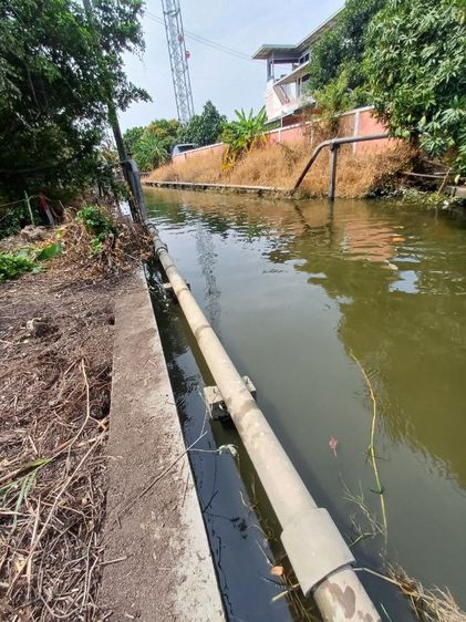 ขายที่ดิน 374 ตรว. บางกรวย นนทบุรี รูปที่ 4