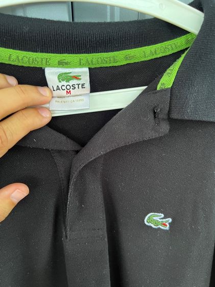 เสื้อโปโล lacoste แท้ อก37-39 รูปที่ 3