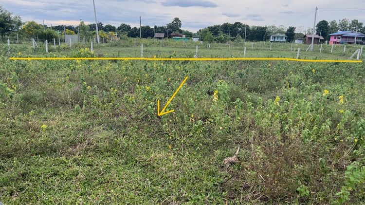 ขายที่ดินวิวเขา บ้านพักตากอากาศ