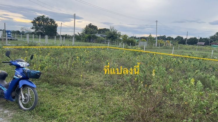ขายที่ดินวิวเขา บ้านพักตากอากาศ รูปที่ 3