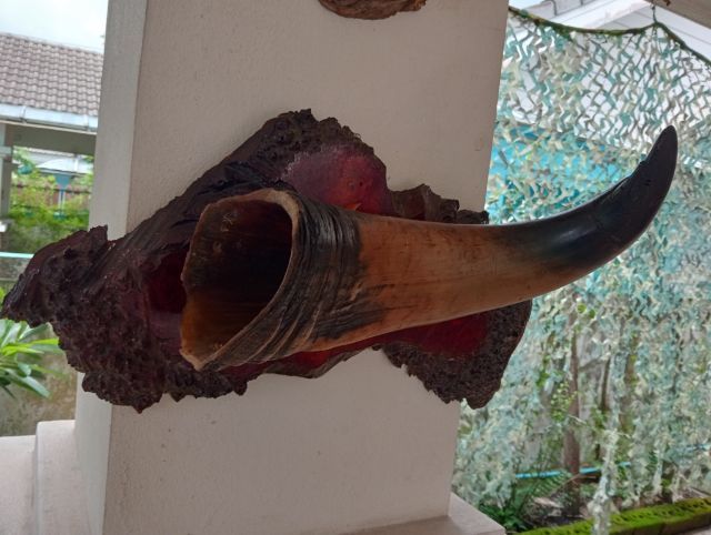 ของแต่งบ้านแท้สภาพเยี่ยมขนาดใหญ่ รูปที่ 12