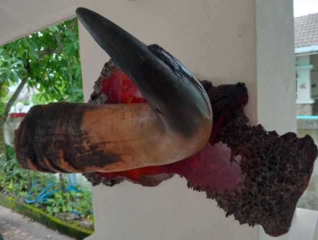 ของแต่งบ้านแท้สภาพเยี่ยมขนาดใหญ่ รูปที่ 10