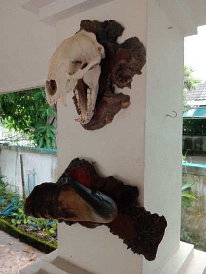 ของแต่งบ้านแท้สภาพเยี่ยมขนาดใหญ่ รูปที่ 6