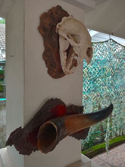 ของแต่งบ้านแท้สภาพเยี่ยมขนาดใหญ่ รูปที่ 4