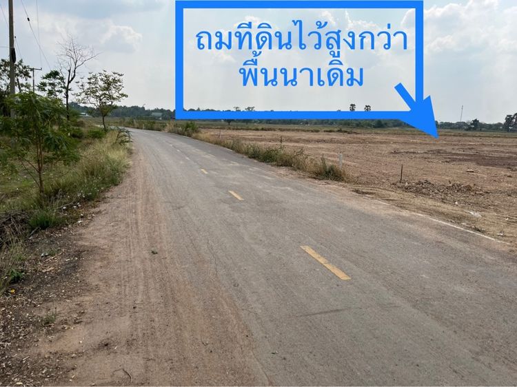 ใช่ ขายที่ดิน8 ไร่ 3 งาน 69 ตารางวา ในชุมชนบ้านโนนไทรโยง ตำบลพังเทียม พระทองคำ นครราชสีมา ใกล้ตลาดโคกสวาย 2กมา รูปที่ 3