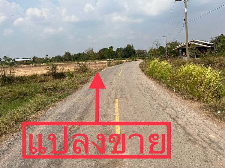 ใช่ ขายที่ดิน8 ไร่ 3 งาน 69 ตารางวา ในชุมชนบ้านโนนไทรโยง ตำบลพังเทียม พระทองคำ นครราชสีมา ใกล้ตลาดโคกสวาย 2กมา รูปที่ 4