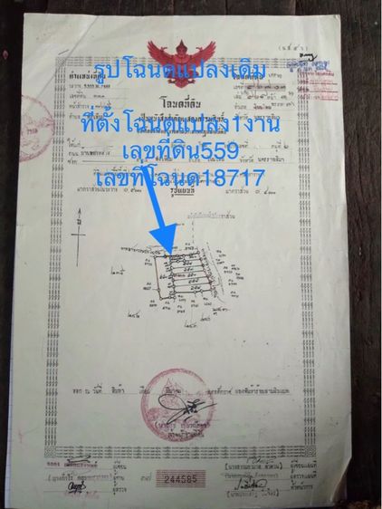 ใช่ ขายที่ดิน8 ไร่ 3 งาน 69 ตารางวา ในชุมชนบ้านโนนไทรโยง ตำบลพังเทียม พระทองคำ นครราชสีมา ใกล้ตลาดโคกสวาย 2กมา รูปที่ 2